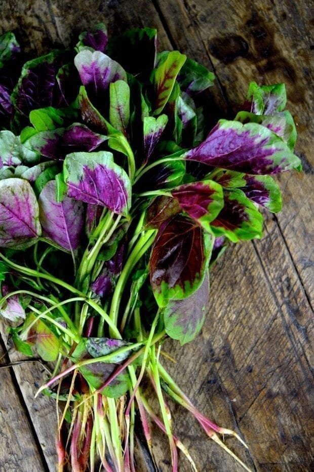 Pink Amaranth greens