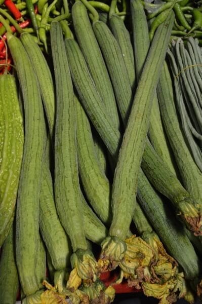 Chinese-luffa