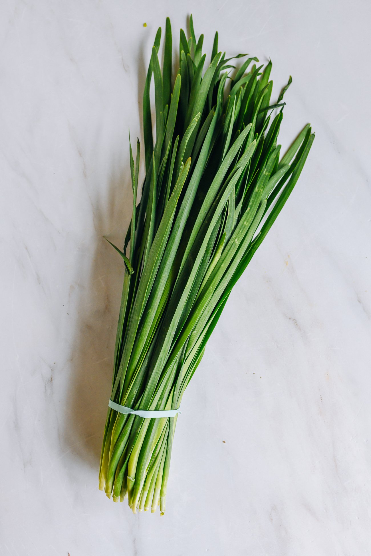 bunch of garlic chives