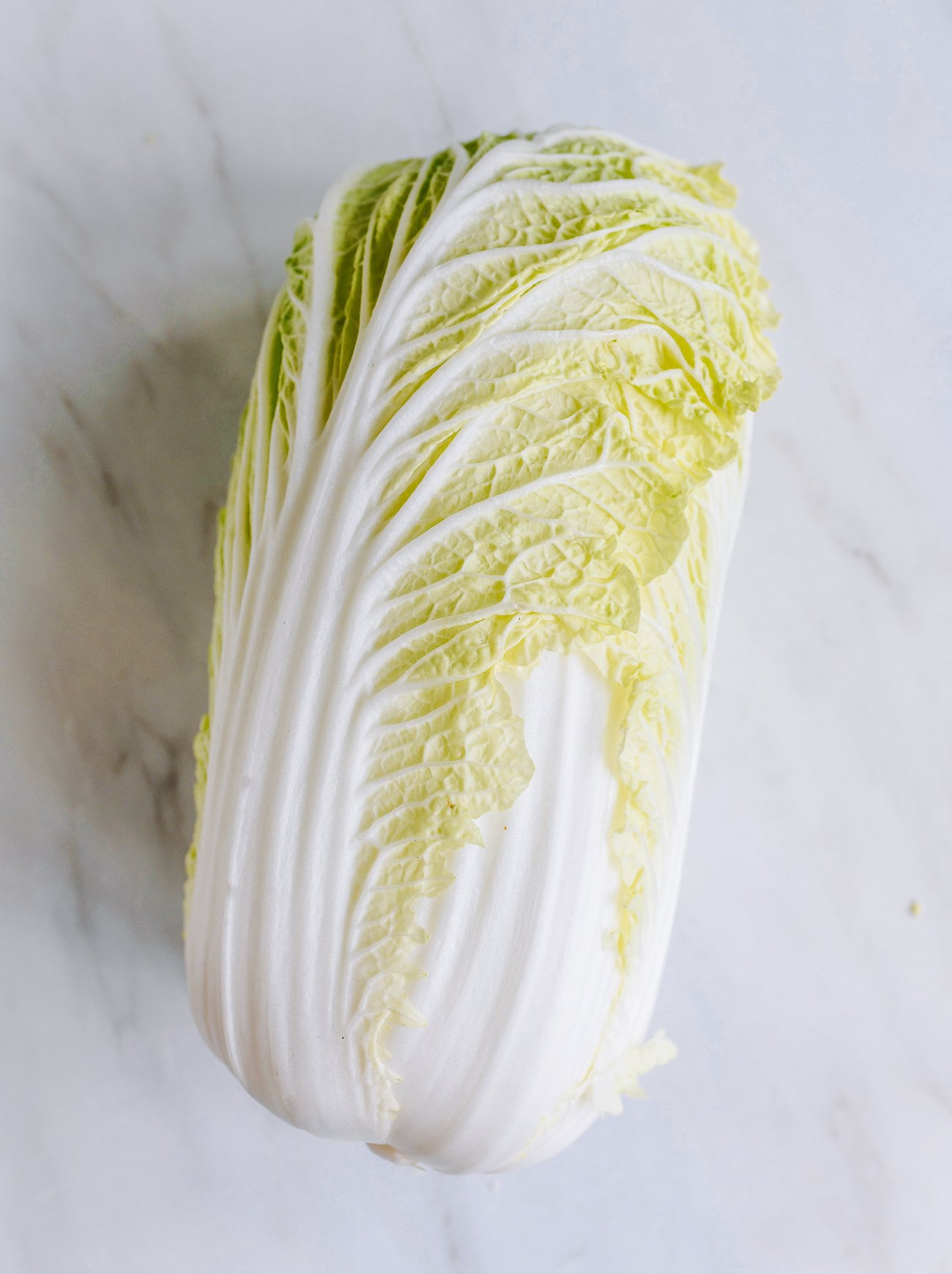 napa cabbage