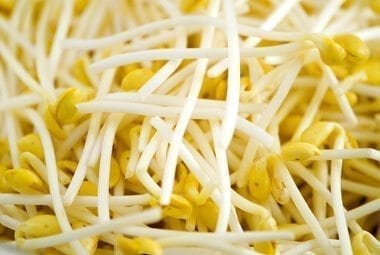 soybean sprouts