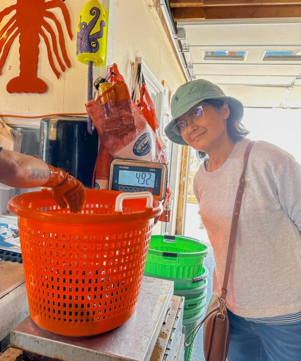 Judy watching lobsters being weighed