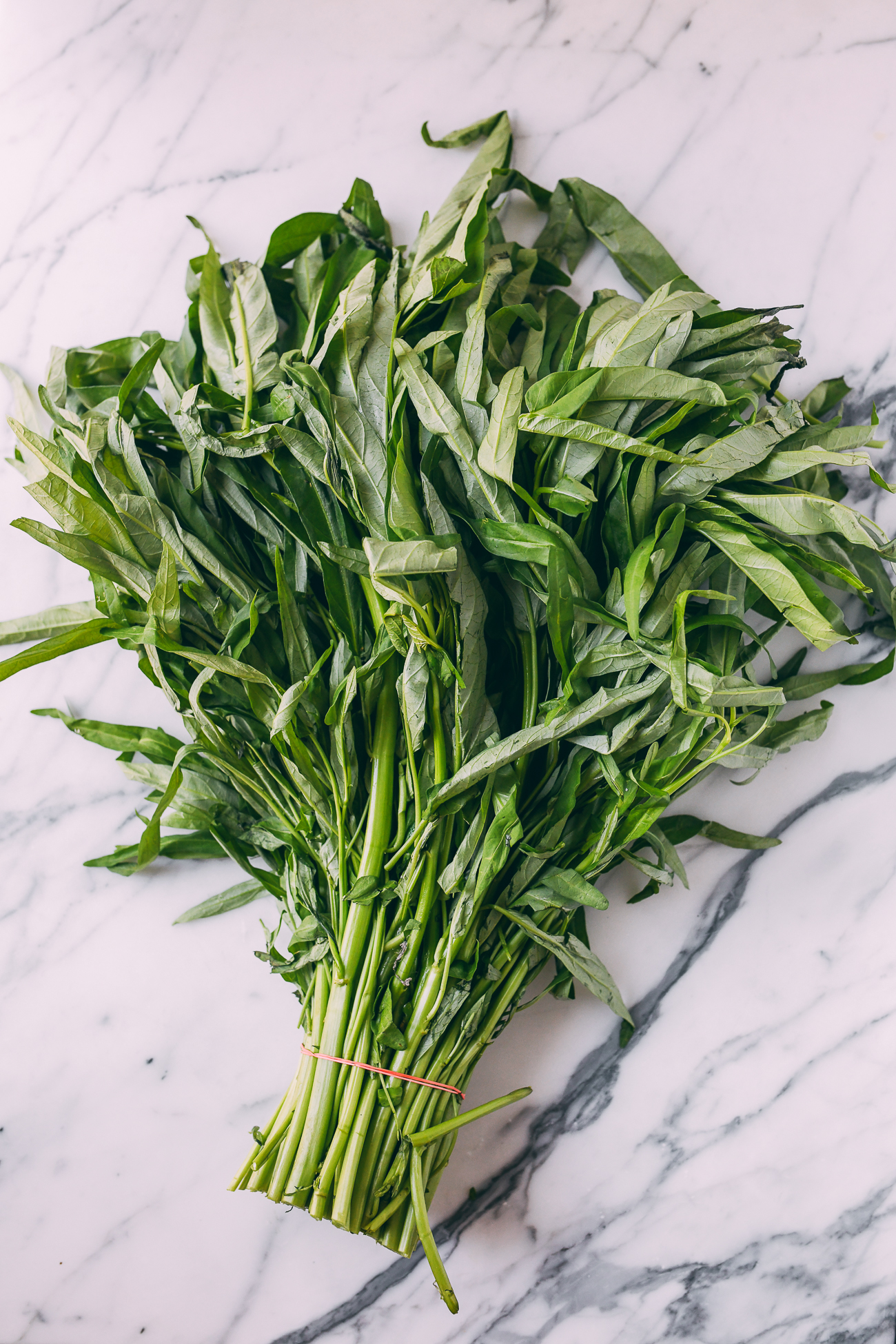 Bunch of green stem water spinch