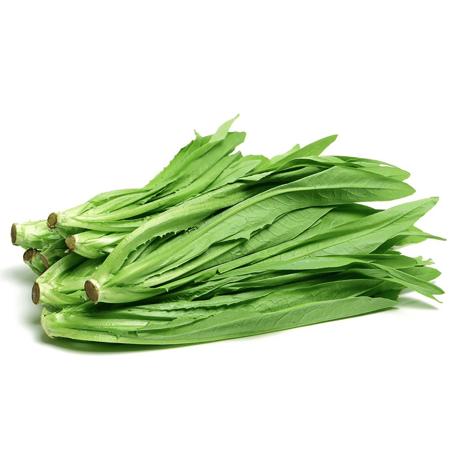 AA-Choy